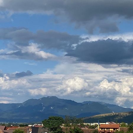 Vila Hora Craiului Zărneşti Exteriér fotografie